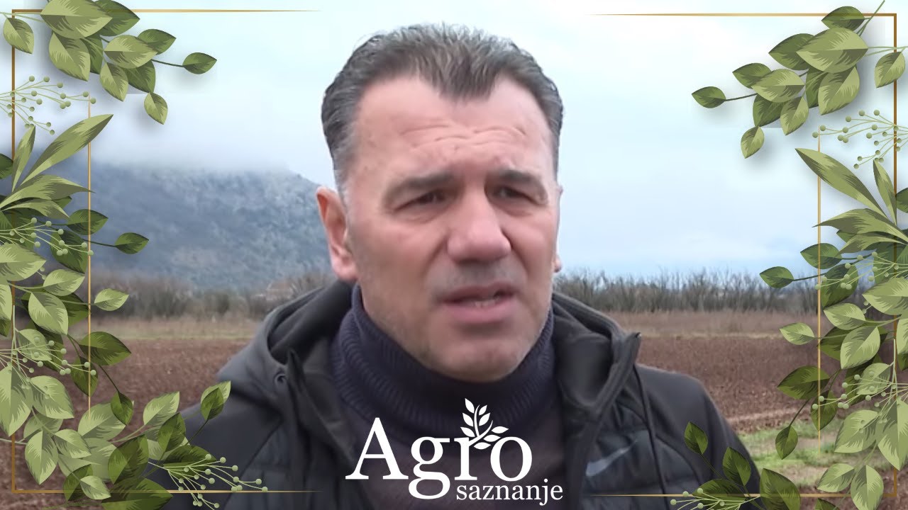 AGROSAZNANJE - Simon Camaj posadio sorte rane sorte krompira
