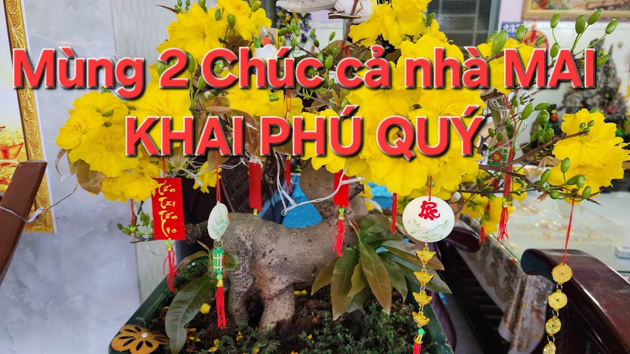 18/02 Minh nhí 0976567966 gl lô mai giảo thủ đức đế dẹp kính mời❤️❤️❤️