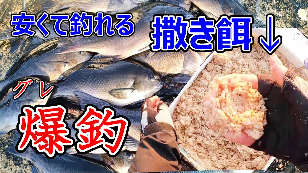 【本当は教えたくない】磯で使える激安撒き餌でグレ爆釣！エサ取り、食い渋りに対応するふかせ釣り。