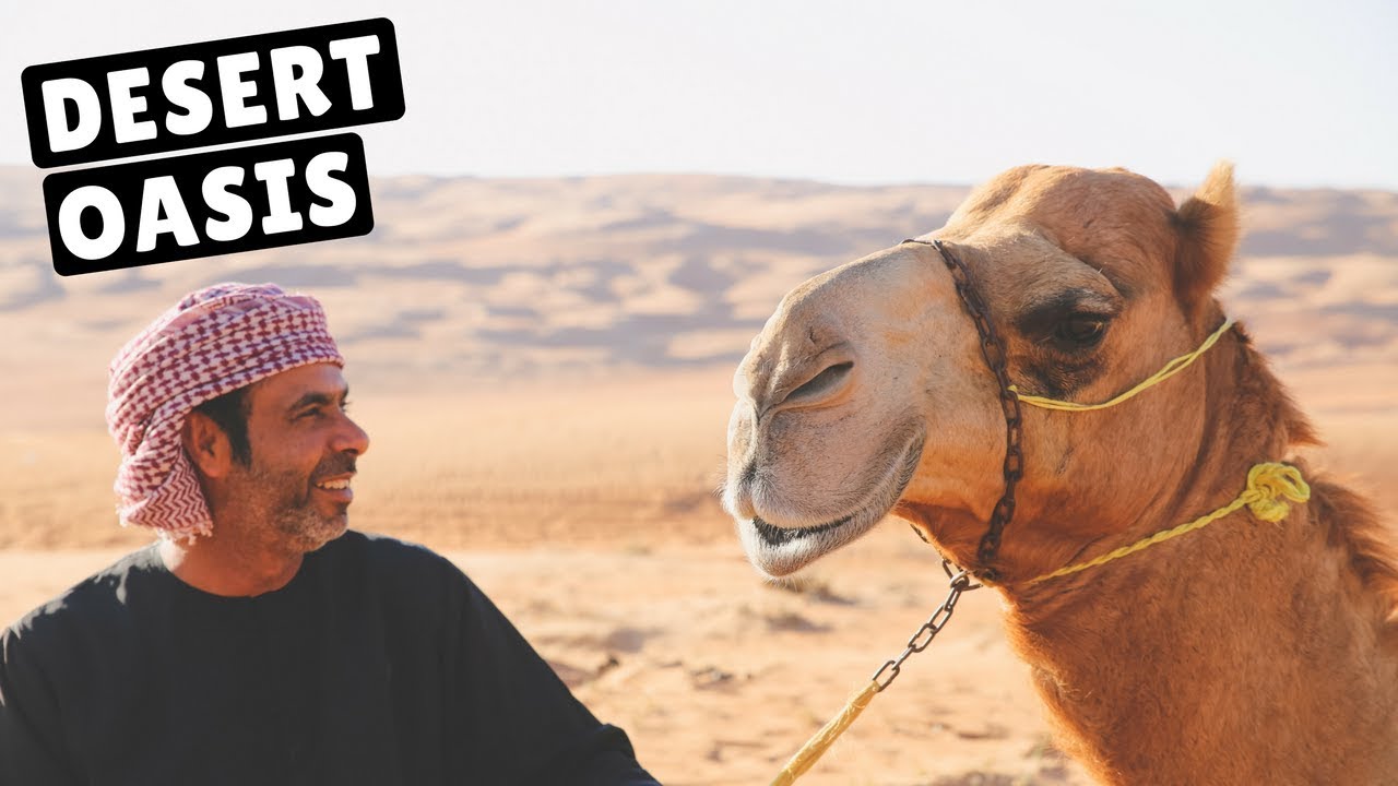 RIDING CAMELS IN THE OMAN DESERT!