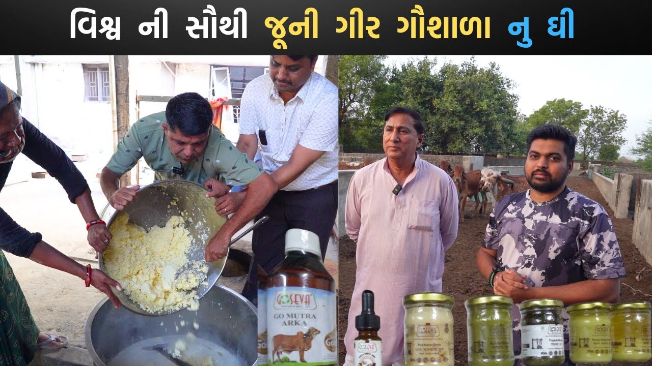 વિશ્વ ની જુના માં જૂની ગીર ગૌશાળા જસદણ માંથી ઘરે બેઠા ઘી તેમજ ગૌ આધારિત પ્રોડક્ટ મંગાવો Gir cow Ghee