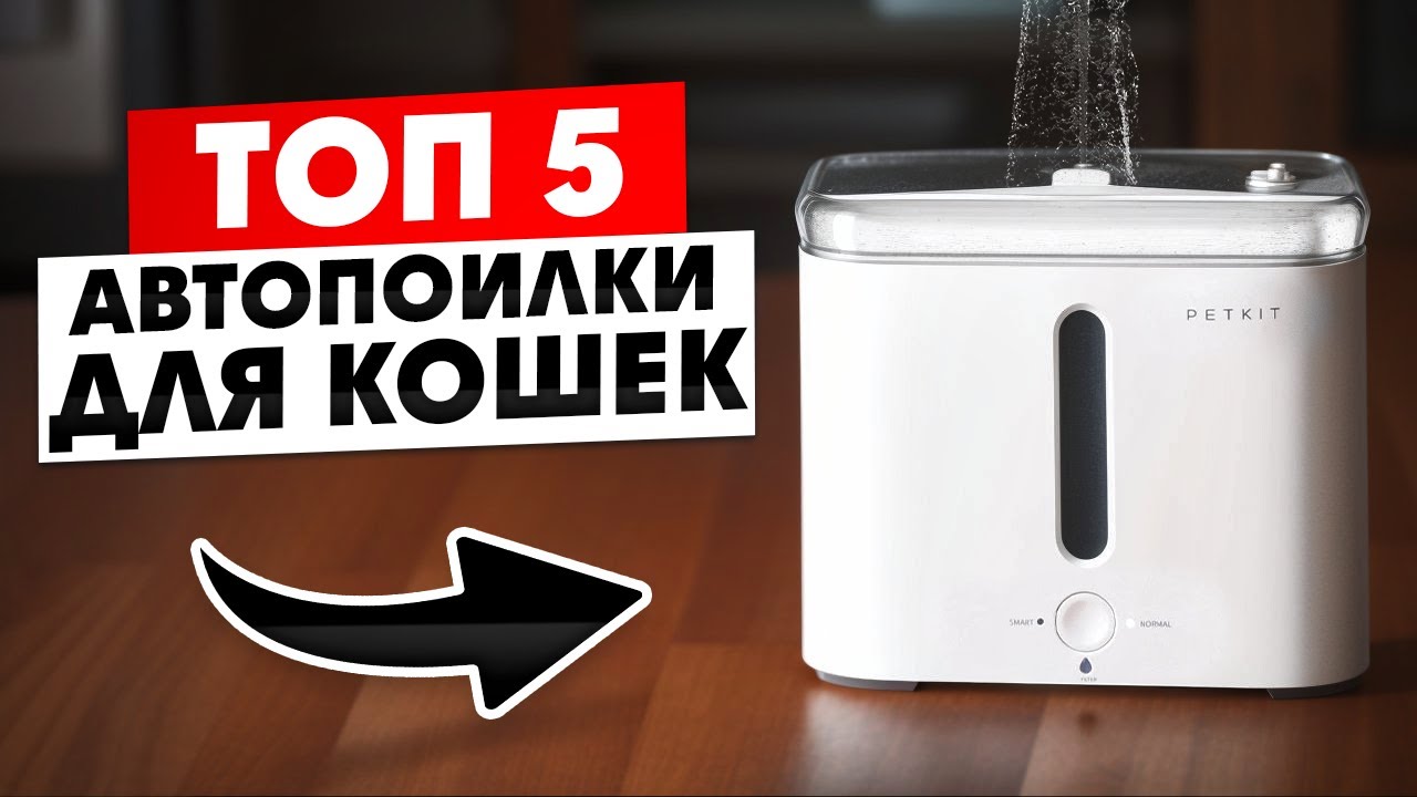 ТОП 5 — Лучшие Автоматические Поилки для Кошек и Собак в 2024