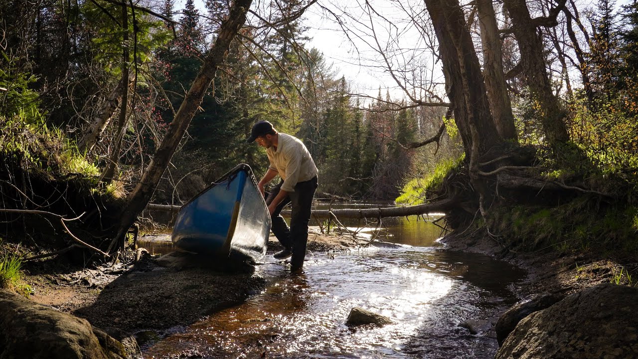 3 Days Solo Camping and Canoeing on Backcountry River - Moose and Calf Encounter