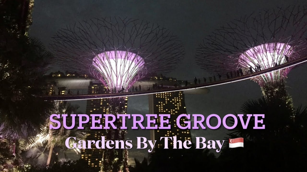 Supertree Groove Light Show At Gardens By The Bay 🇸🇬 (Garden Rhapsody) #singapore #gardensbythebay