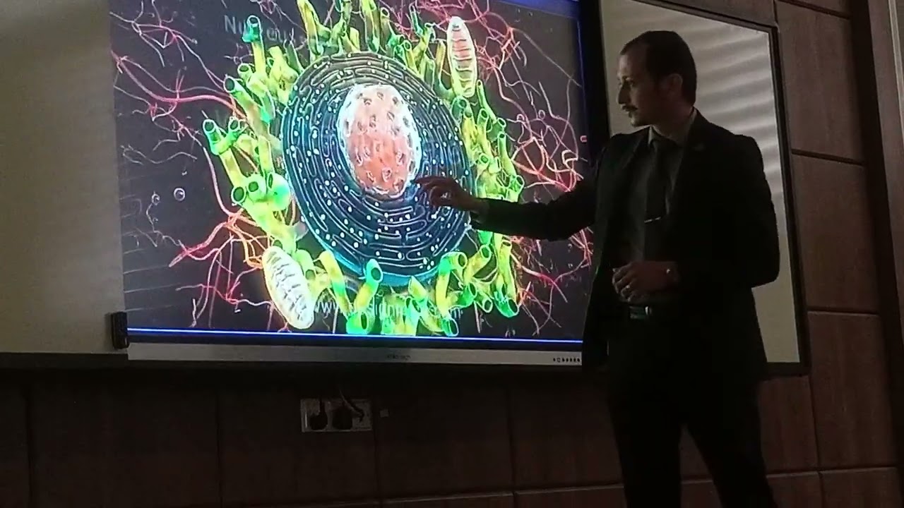 Visit Alkafeel University lab and auditorium