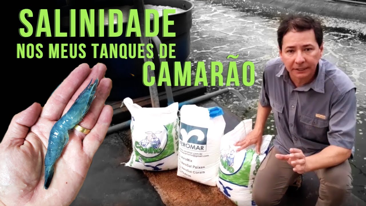 Qual SALINIDADE uso nos meus tanques de CAMARÃO no interior? [#AQUAROTINA]