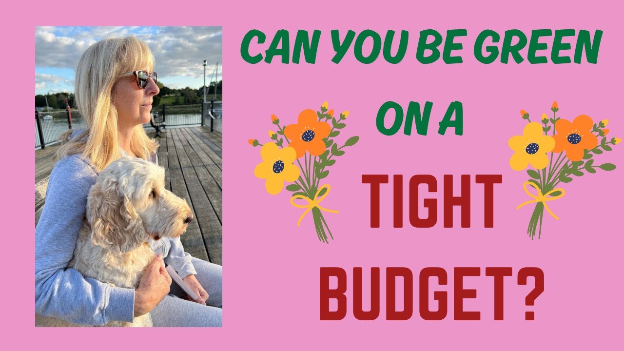 Can you have an eco-friendly home on a budget?