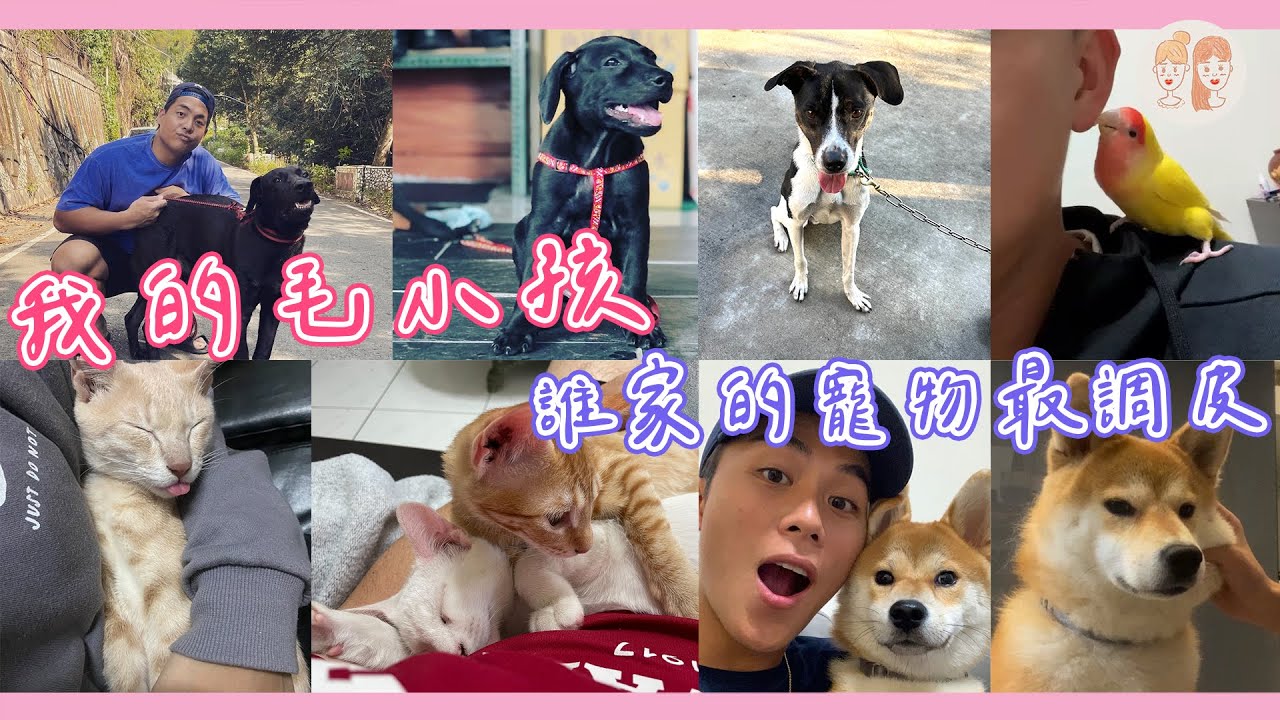 我的毛小孩味全篇，誰家的寵物最調皮？！【#緯來雙芷拍什麼】Ep.162