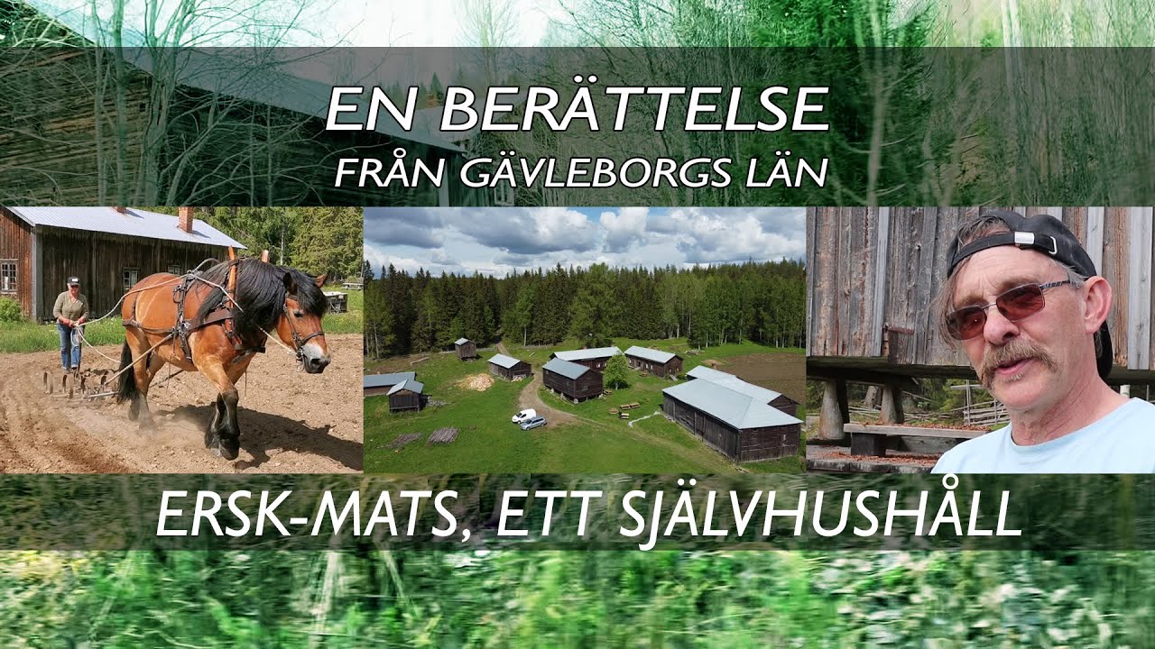 En berättelse från Gävleborgs län - Ersk-Mats, ett självhushåll