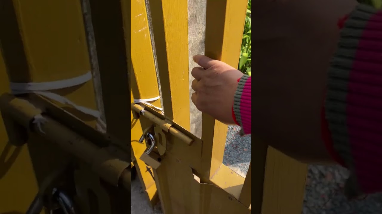 ដើរលេងចោលកូន #dog 