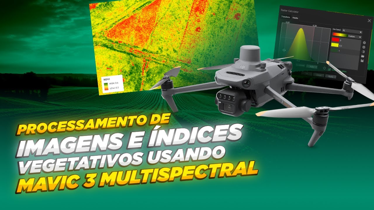 Processamento de Imagens & Indíce vegetativo com Mavic 3 Multispectral