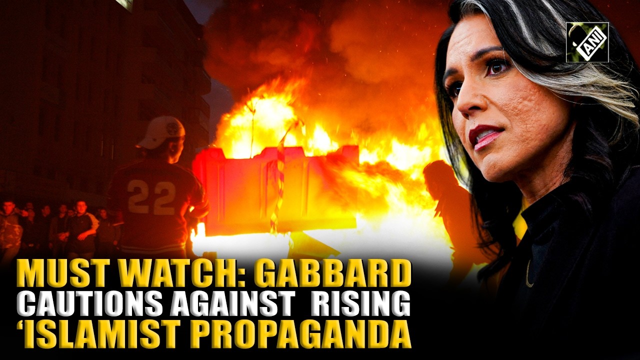 ‘Islamist groups spreading PROPAGANDA!’: Tulsi Gabbard’s explosive Sharia law warning stuns Senate
