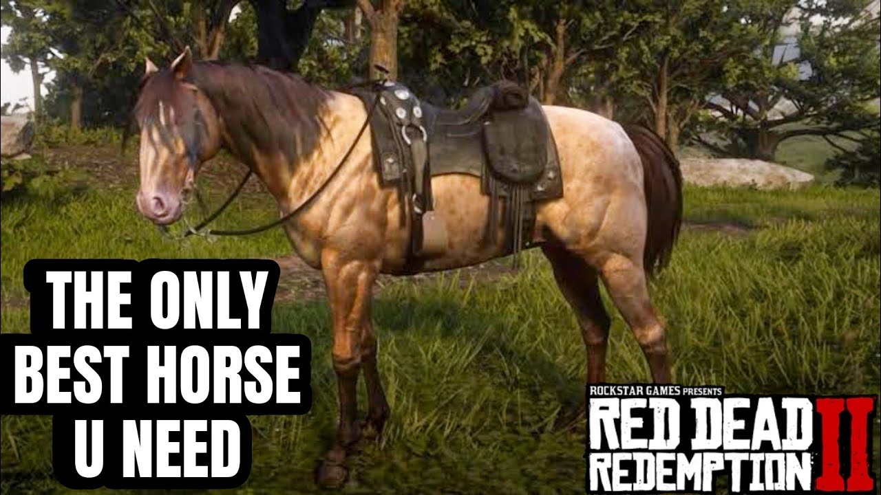 HOW TO GET RARE HORSE FOR FREE IN RDR2 | AMBER MISSOURI FOX TROTTER...