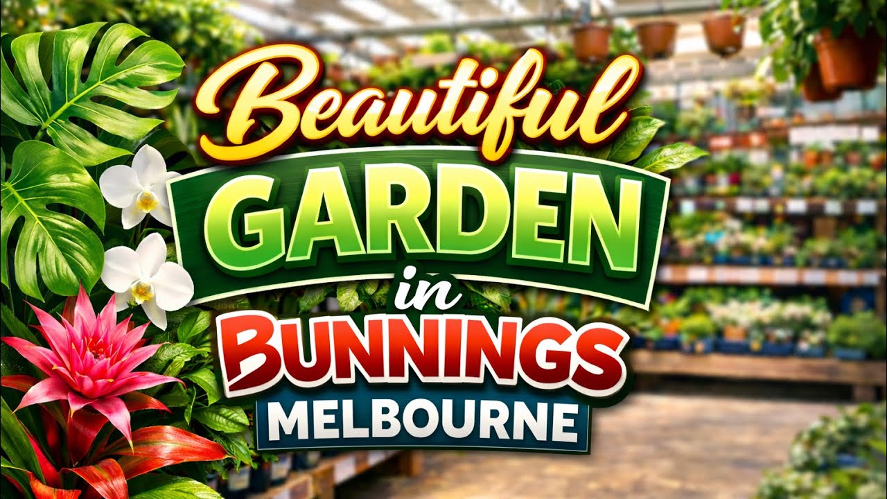 Beautiful garden in Bunnings (Melbourne) 🇦🇺 | All types of plants | @AshirAnwar-m6c #bunnings#plants