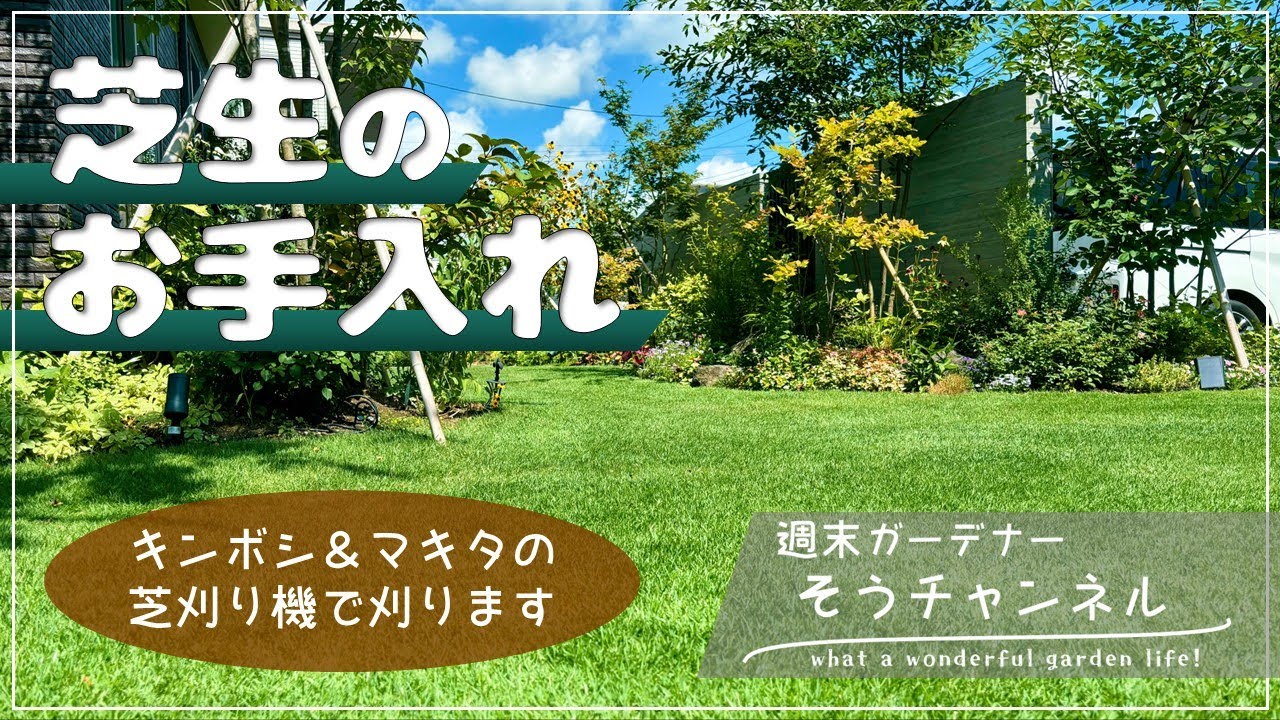 一面に生えそろった芝生って素敵！芝生を綺麗にお手入れしていきましょう！ #TM9 ※再編集版