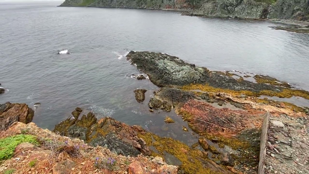 Crow Head - Twillingate Island