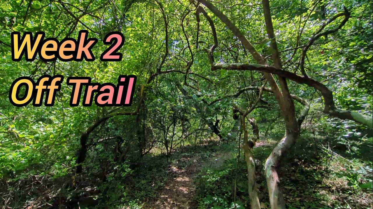 PCT 2025 | Week 2 Off Trail [4K]