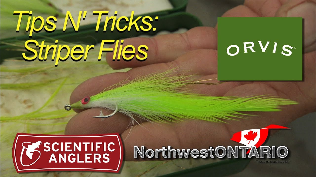 TIPS N TRICKS Striper Flies