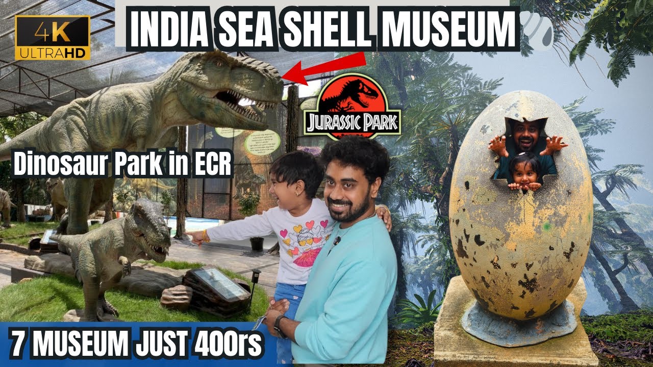 India Seashell Museum Mahabalipuram 🐚 | Dinosaur Park in ECR | 7 Museums Just ₹400