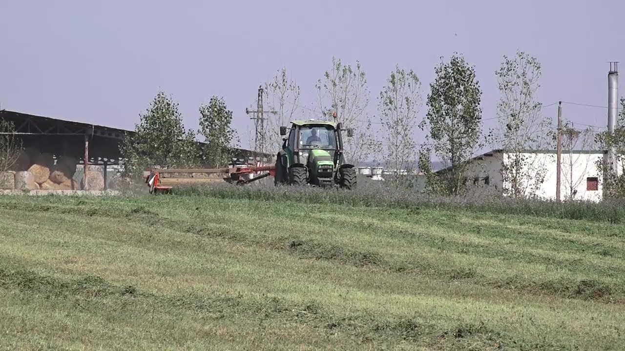 Senaža lucerke