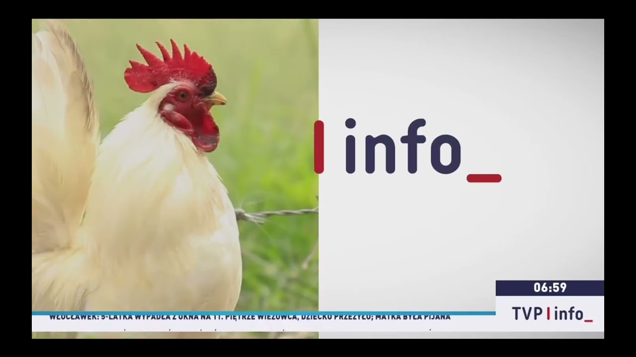 TVP Info - czoł&oacute;wka 