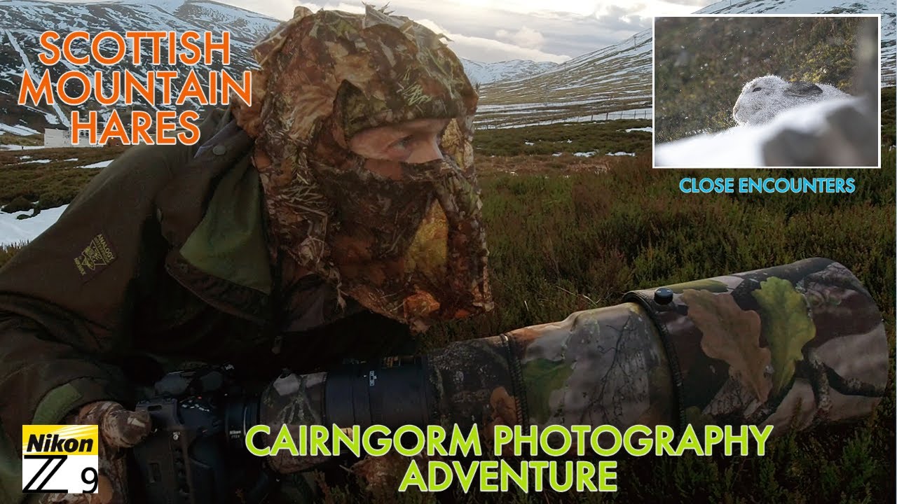 WINTER WILDLIFE PHOTOGRAPHY-SCOTTISH MOUNTAIN HARES- MICRO ADVENTURE