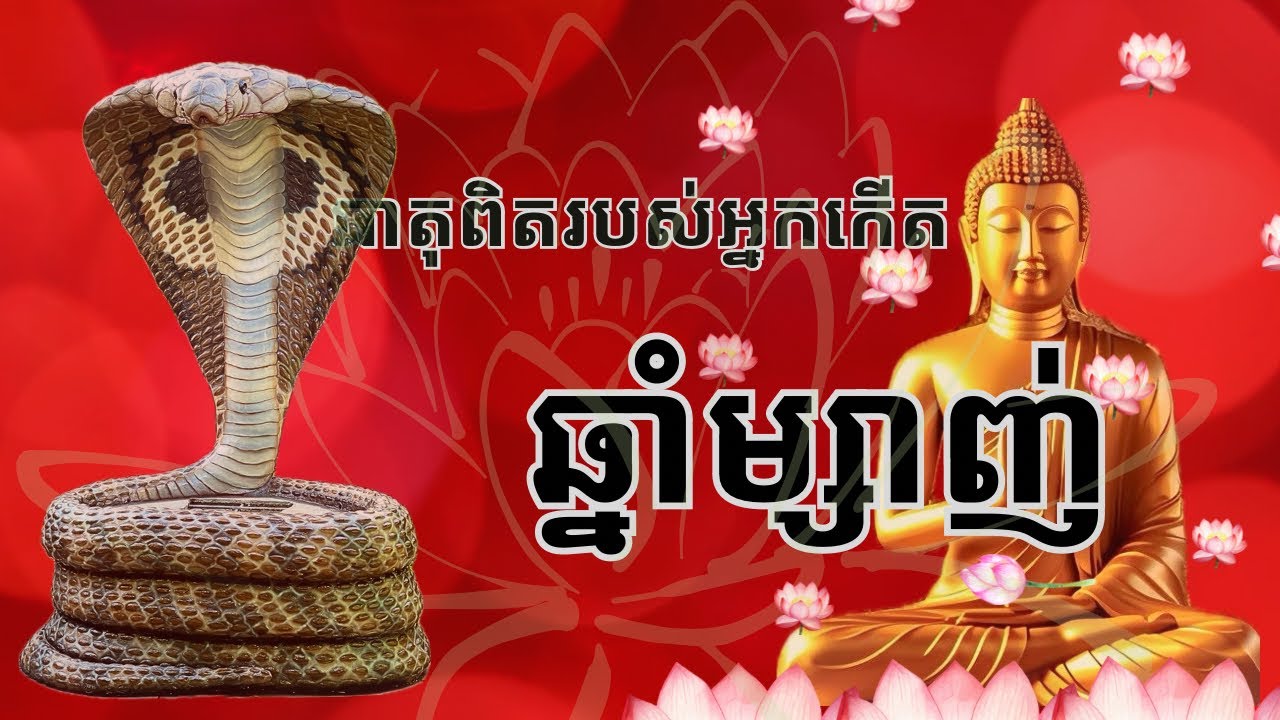 ធាតុពិតរបស់អ្នកកើតក្នុងឆ្នាំម្សាញ់ ( ចរិក ការងារ ស្នេហា ) /Year of the snake Zodiac sign