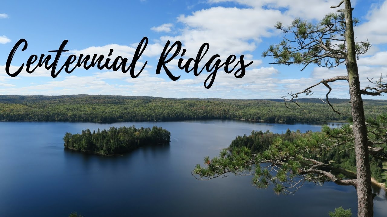 Centennial Ridges Trail in Fall | Algonquin Park, ON