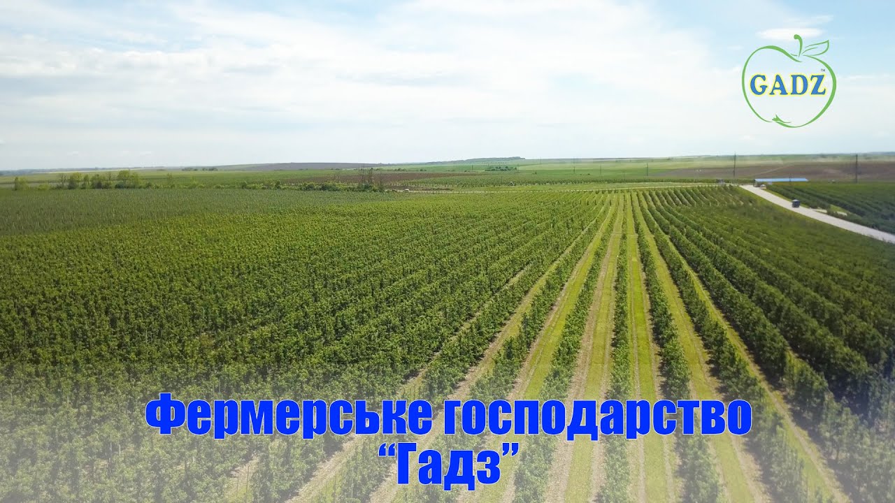 Фермерське господарство 