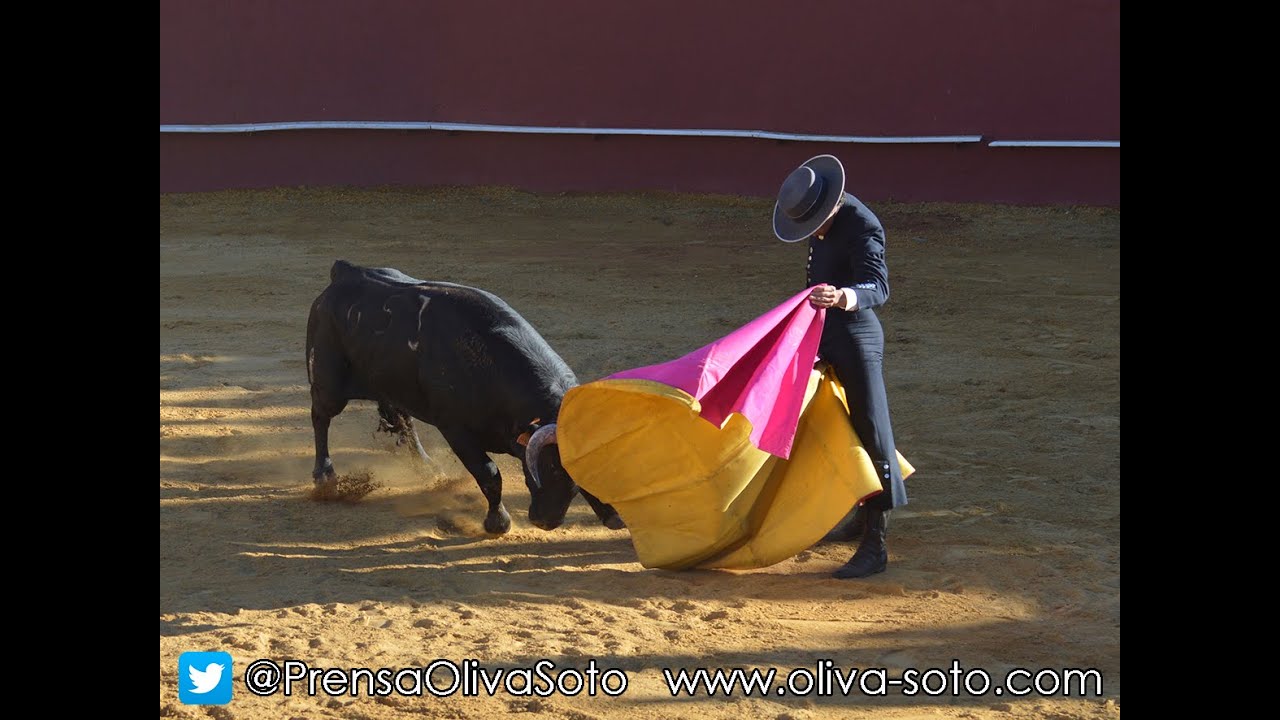 Oliva Soto en Cazalla de la Sierra (07/03/15)