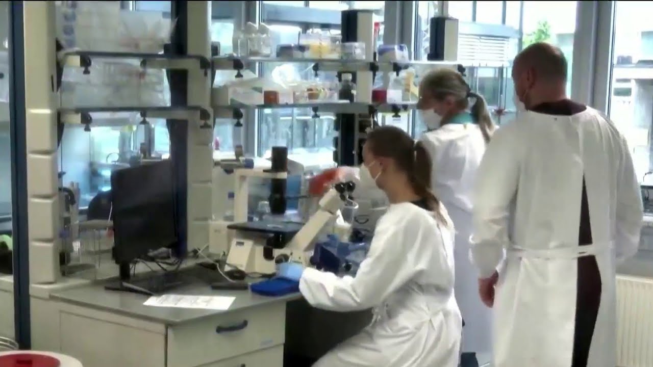 UK scientists find potential antiviral treatment for monkeypox