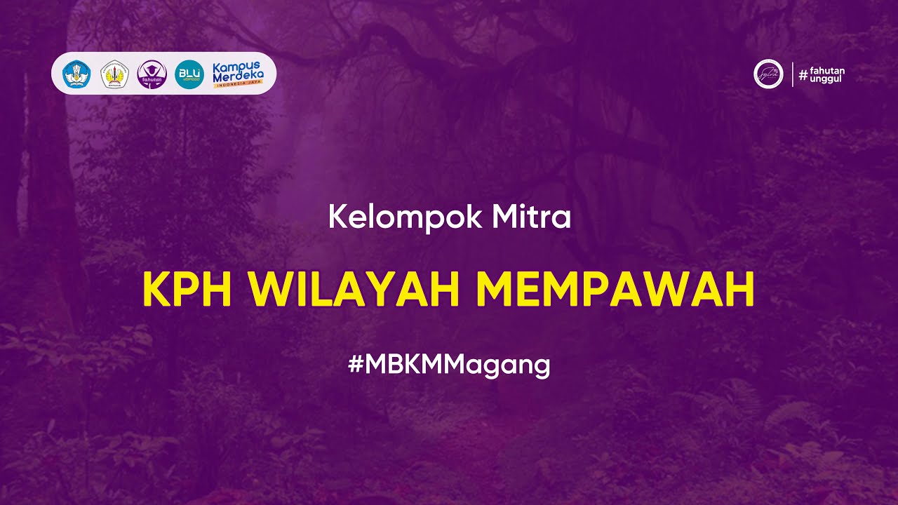Kelompok Mitra KPH WILAYAH MEMPAWAH