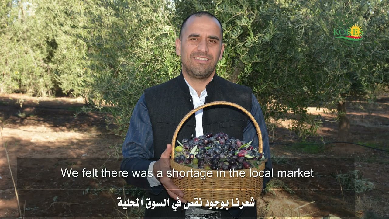‏ الزيتون‏‏The success story of a Kurdish farmer in olive oil production