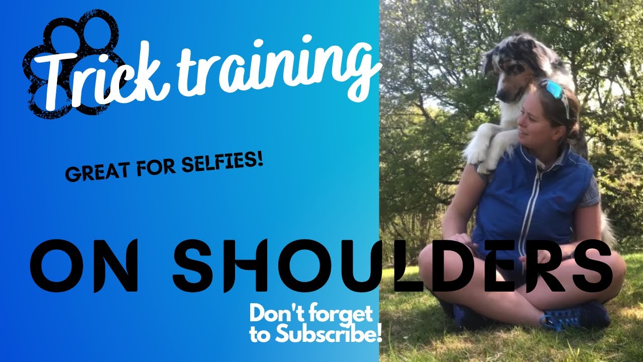 Dog on shoulders - Dog Trick Training! (Harder than you think)