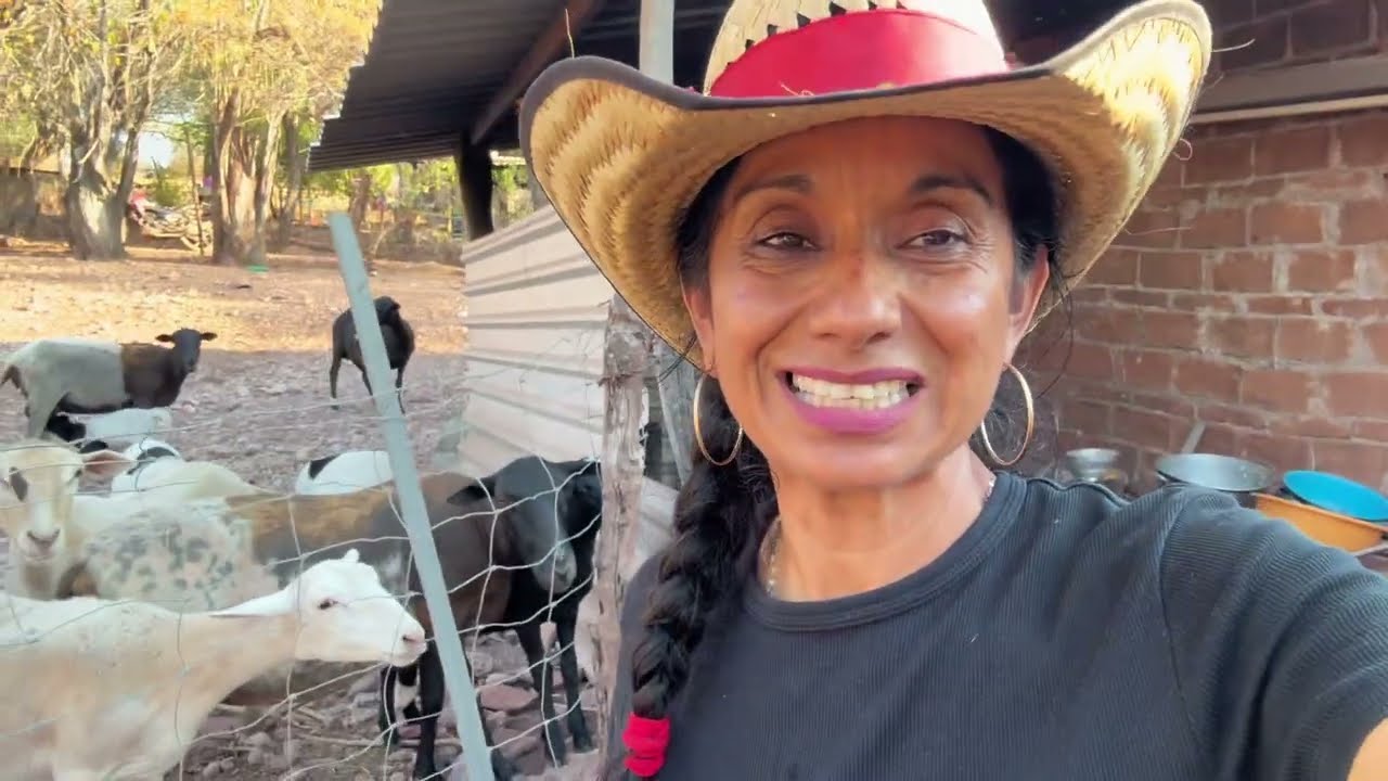 ASÍ ALIMENTA SUS ANIMALITOS CHUNCHITO TIENE MUCHOS PINZANES + MOSTRÁNDOLES MI NUEVO LOCAL ASÍ QUEDÓ 