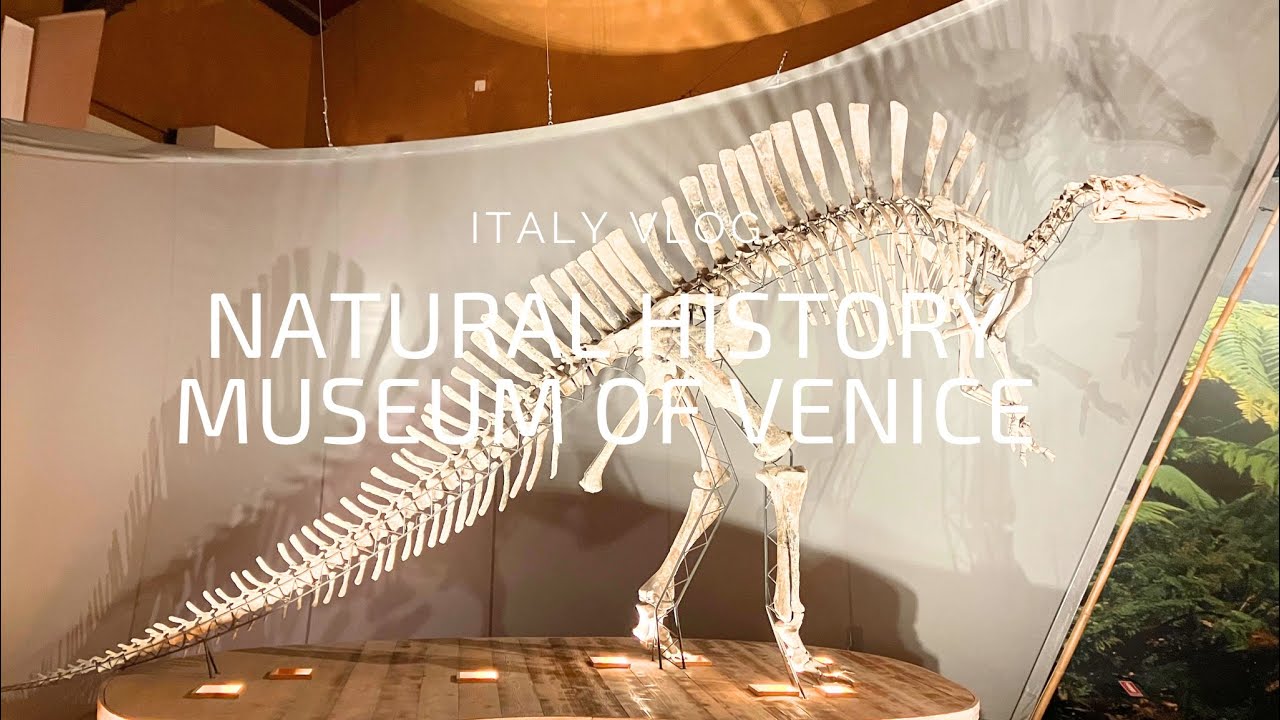 Natural History Museum of Venice | Italy VLOG