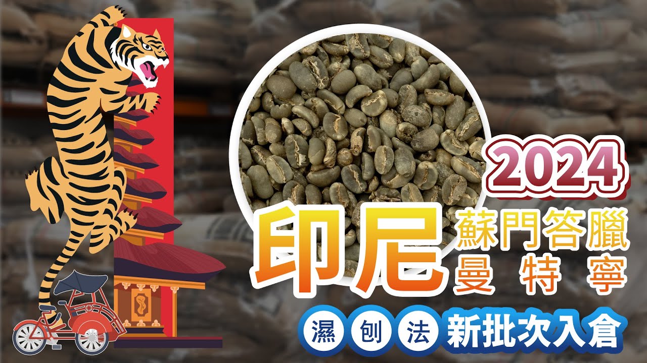 拆櫃開箱｜2024印尼蘇門答臘曼特寧手選｜HP G1（獵戶座處理站）到港！