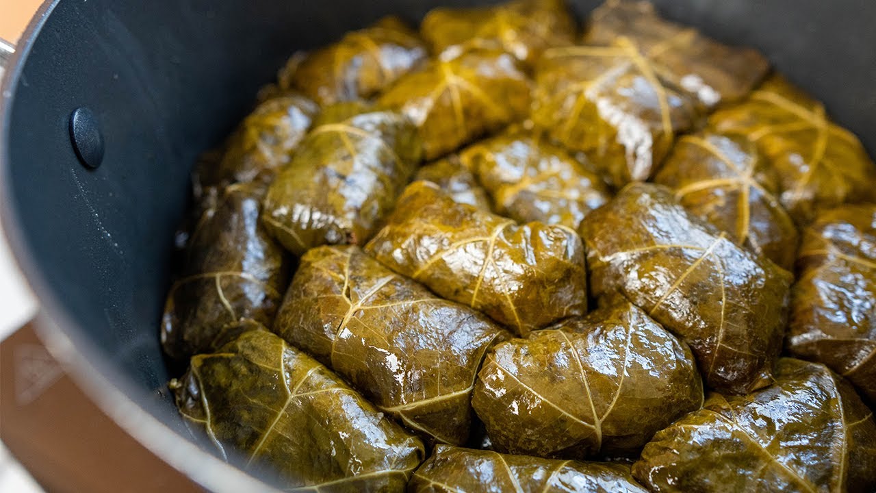 persische Weinblätter auch vegan | fingerfood Dolme Barge Moo | دلمه برگ مو | grape leaves