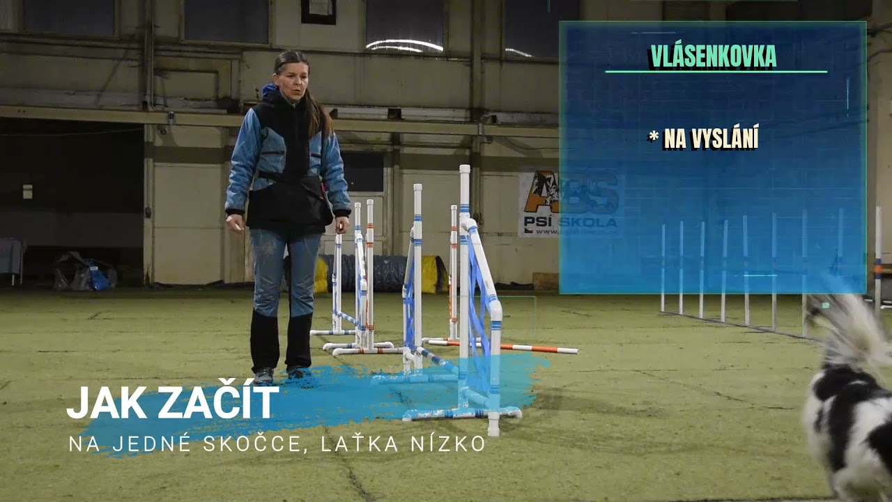 Doma se psem - 11. úkol agility - Vlásenkovka