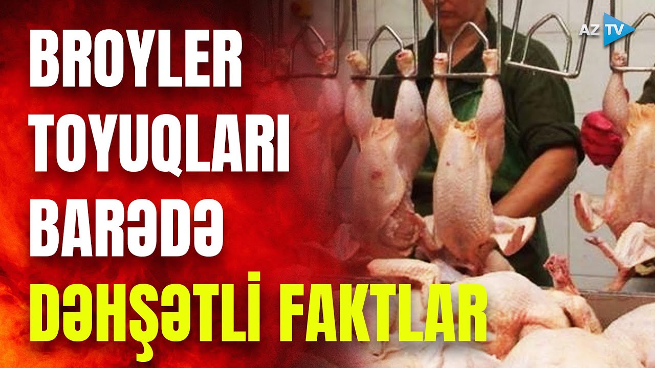 Broyler toyuqları bizi zəhərləyir? - Mütəxəssis tükürpədən faktları açıqladı