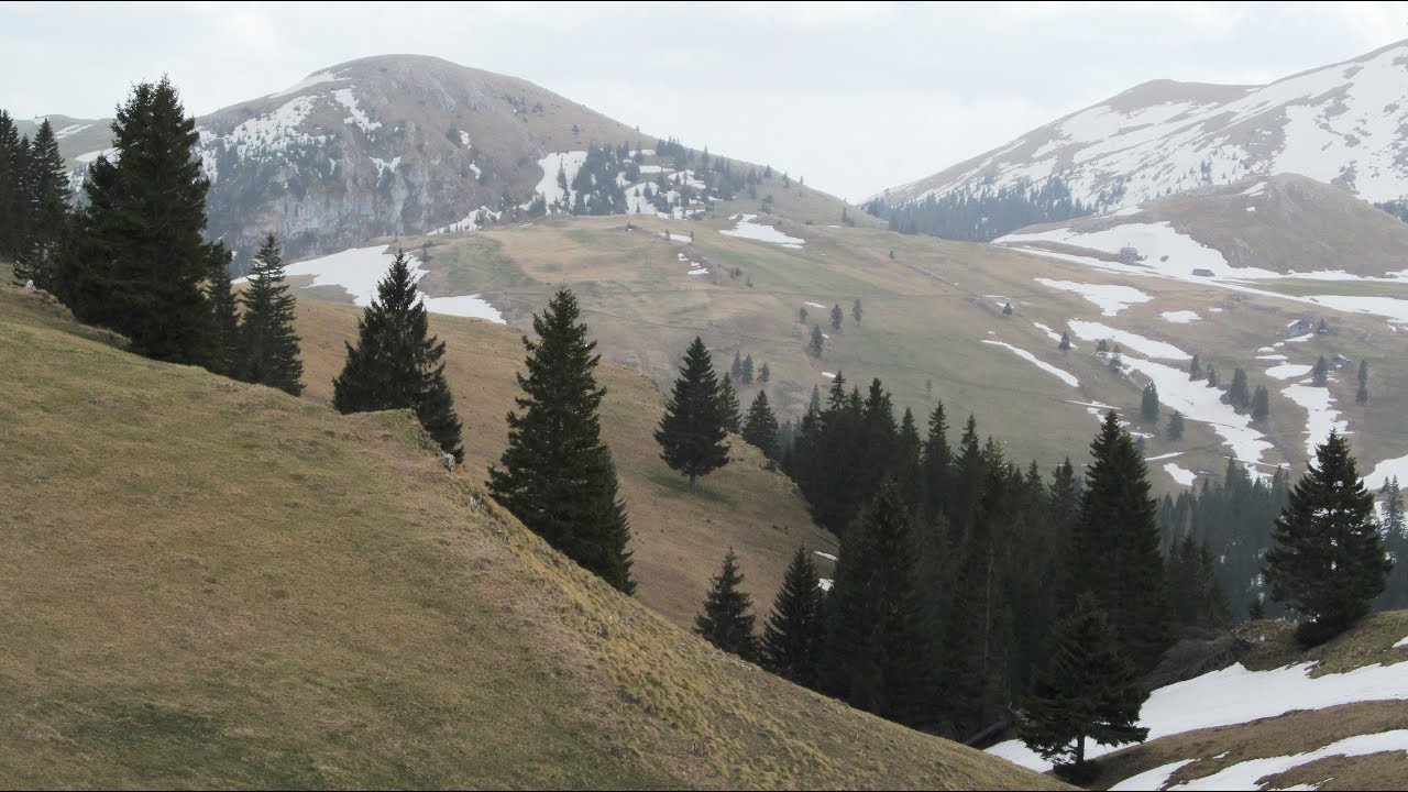 VLAŠIĆ  vrh  LJuta Greda   24 04 2019