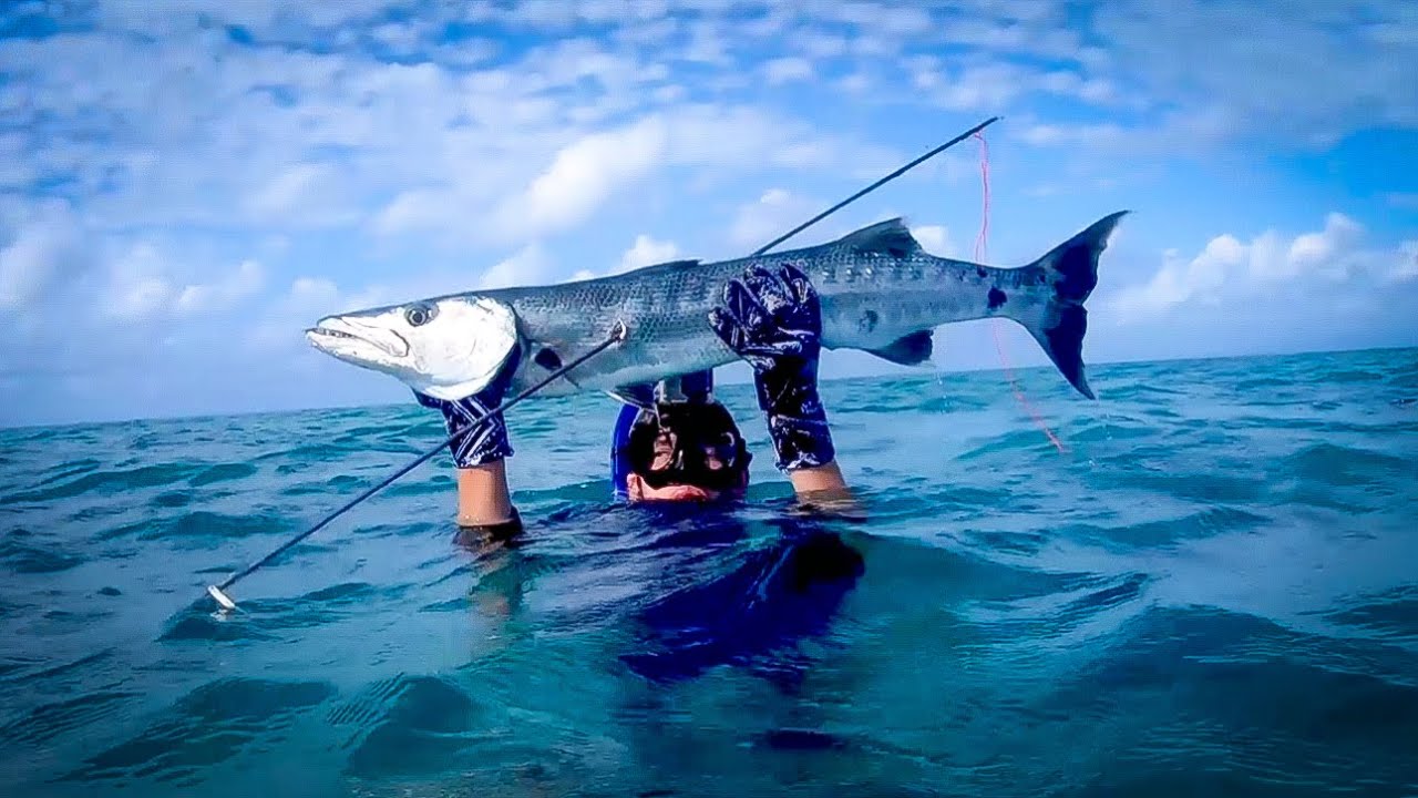 Spearfishing Belize 2020 | Barrier Reef Spearfishing