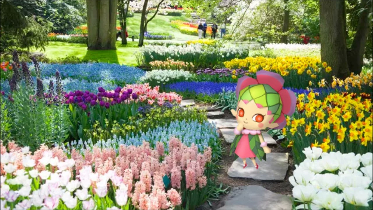 春の朝 (Vivaldi, The Four Seasons, Spring) 【とんがりボウシ】【BGM】#とんがりボウシ