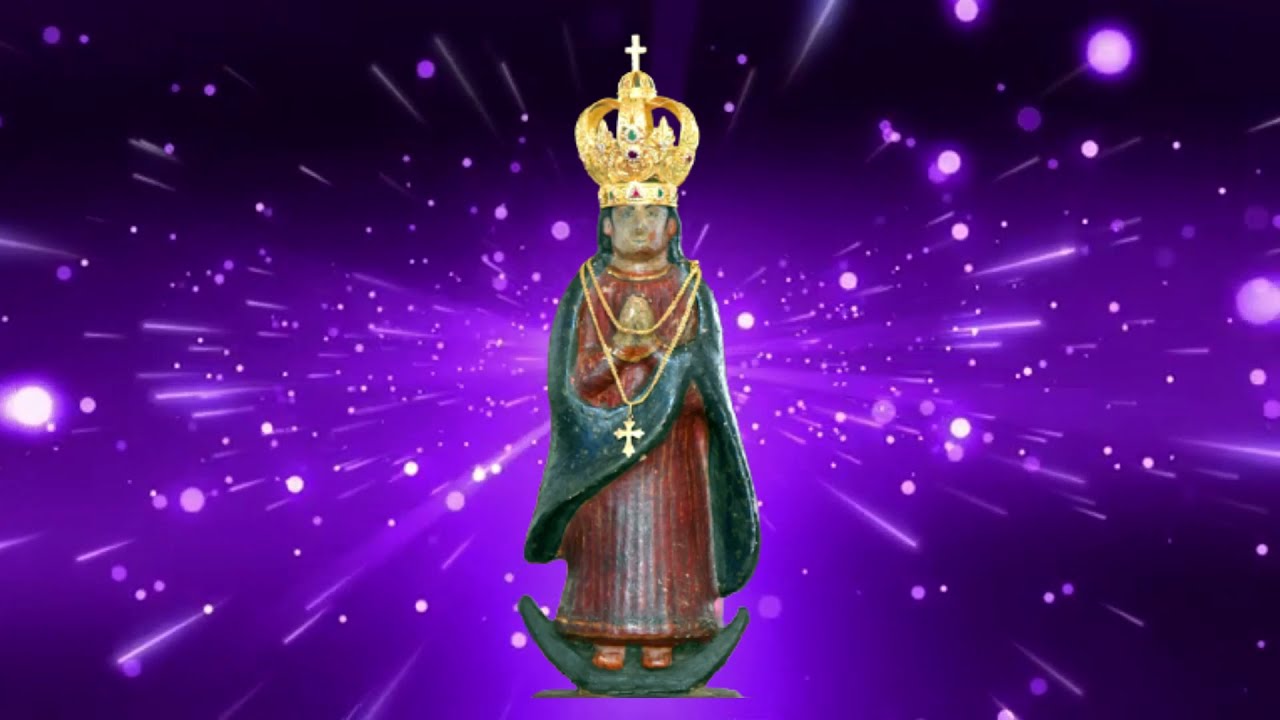 Placing Miraculous Statue of Our Lady of Health, Harihar for the Special Darshan