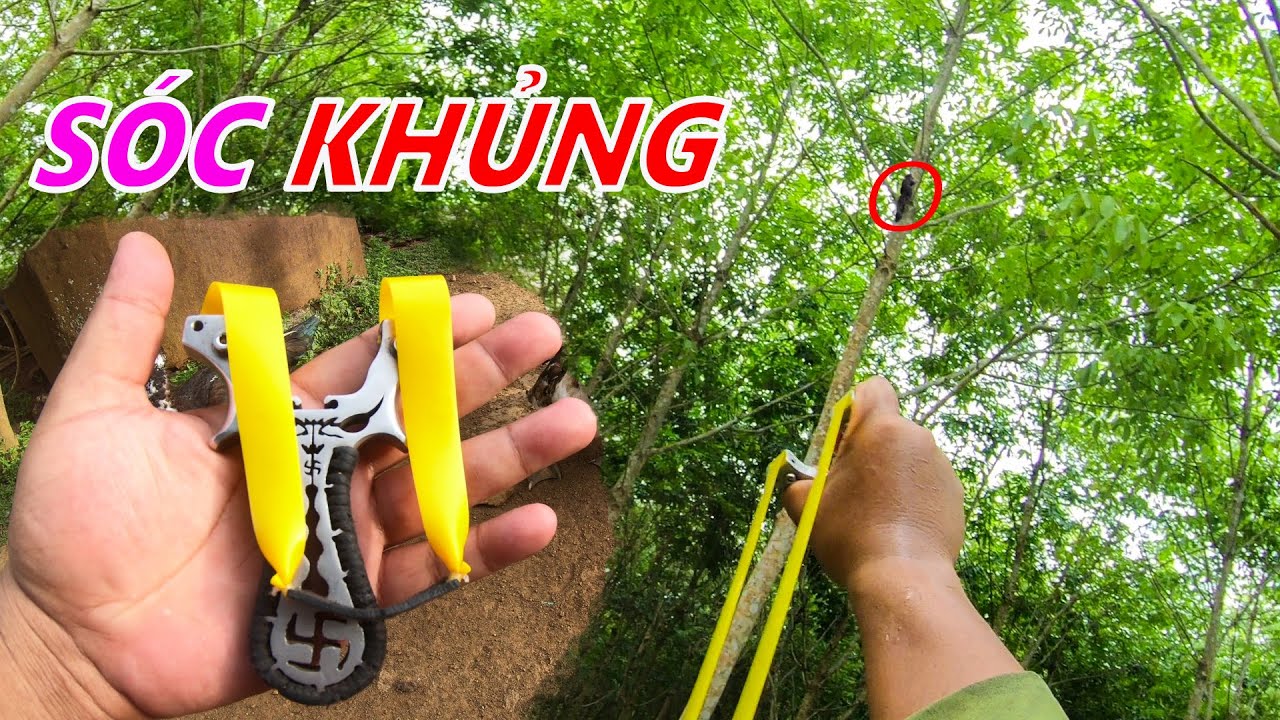 ĐI SĂN BẰNG NÁ CAO SU tập 3 - Catapult slingshot hunting