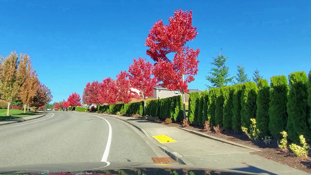 Autumn Drive in Maple Valley and Black Diamond, Washington State, USA.