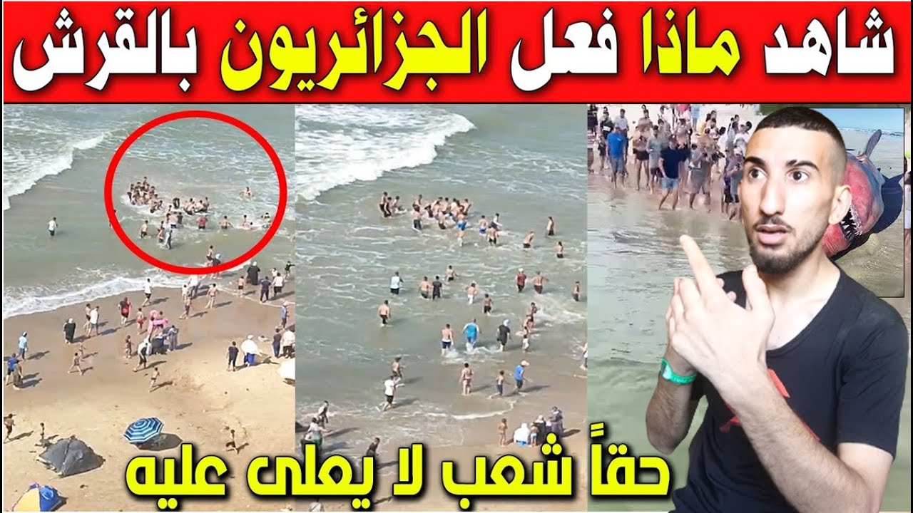 شاهد  ماذا فعلو الجزائريين مع القرش الذى هـ ـجم عليهم فى البحر شعب ملوش حل !؟ لحمك يشوك