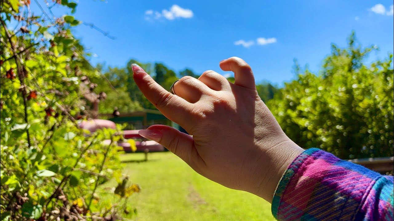 ASMR Relaxing Randomness In Nature ✨🦋✨ 