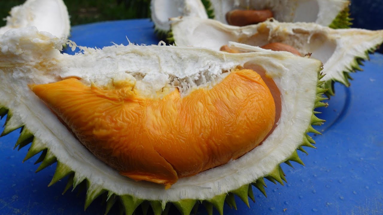 DURIAN BMKK GOLD BY FAMIES GROUP KUALA KANGSAR #unboxingdurian
