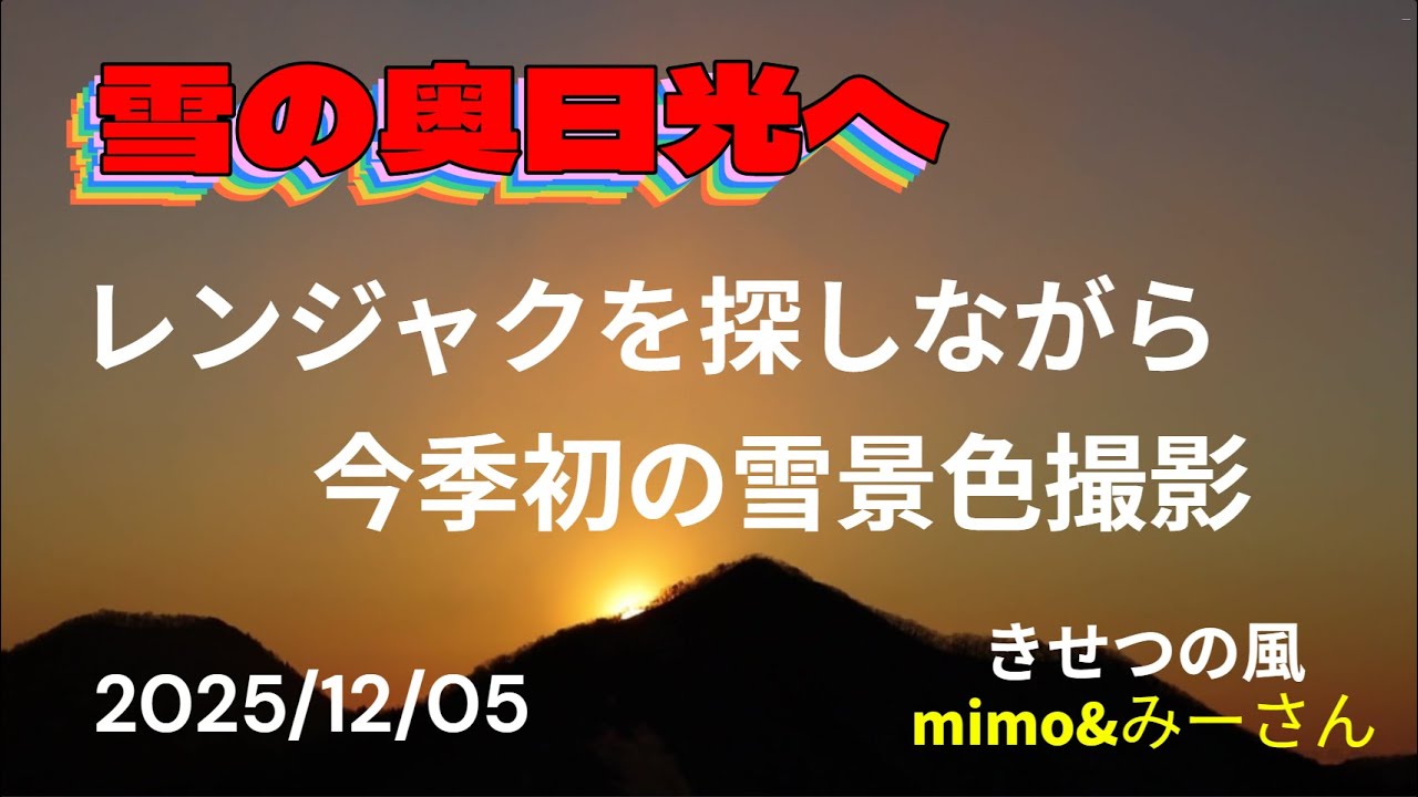 雪の奥日光　レンジャクを探しながら今季初の雪景色撮影　きせつの風　2025/12/05